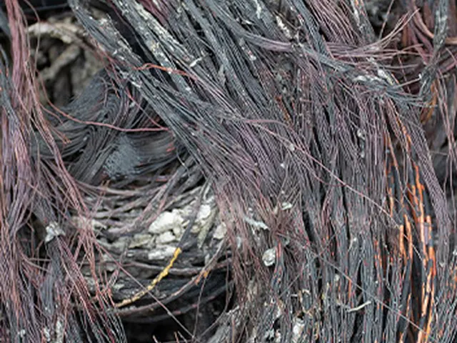 Burnt/insulated copper wire