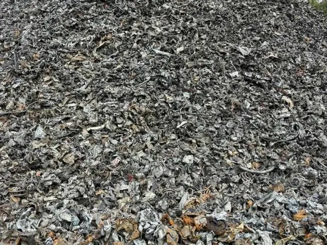 Shredded scrap